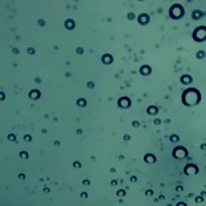 Meet your Posher, Fernetta